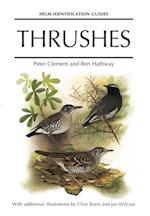 Thrushes