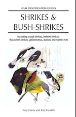 Shrikes and Bush-shrikes