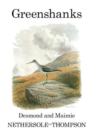 Greenshanks