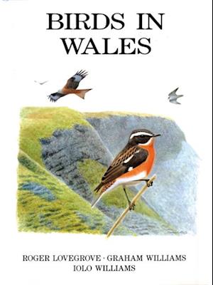 Birds in Wales