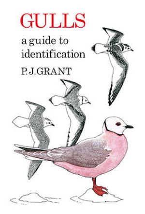 Gulls: A Guide to Identification. 2nd Edition