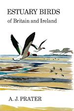 Estuary Birds of Britain and Ireland