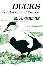 Ducks of Britain and Europe