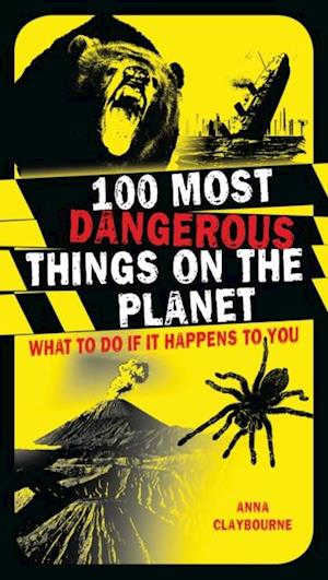 Dangerous things. Dangerous things 1. Larken Rose most Dangerous Superstition book.