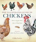Illustrated Guide to Chickens