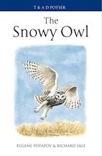 The Snowy Owl