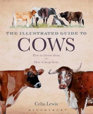 The Illustrated Guide to Cows