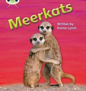 Bug Club Phonics - Phase 5 Unit 22: Meerkats