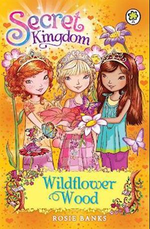 Secret Kingdom: Wildflower Wood
