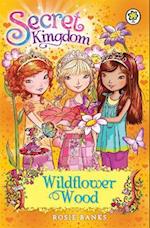 Secret Kingdom: Wildflower Wood