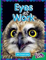 All About Eyes at Work Fast Lane Emerald Non-Fiction