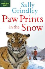 Paw Prints in the Snow