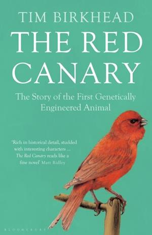 Red Canary