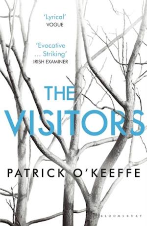 The Visitors