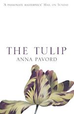 The Tulip