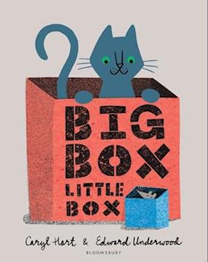 Big Box Little Box