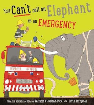 You Can't Call an Elephant in an Emergency