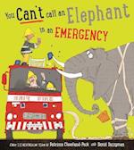 You Can't Call an Elephant in an Emergency