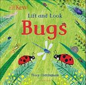 Kew: Lift and Look Bugs