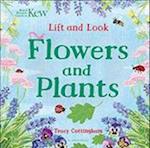 Kew: Lift and Look Flowers and Plants