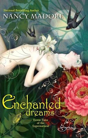 Enchanted Dreams: Erotic Tales of the Supernatural (Mills & Boon Spice)