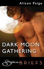 Dark Moon Gathering