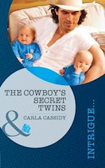 Cowboy's Secret Twins