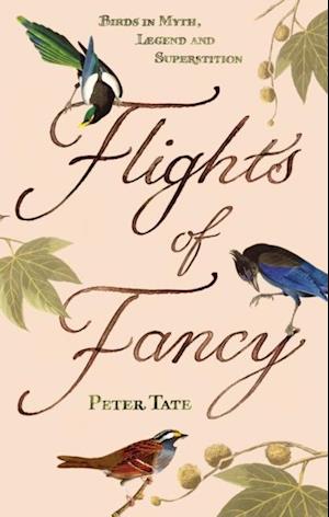 Flights of Fancy