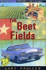 Beet Fields