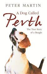 Dog called Perth
