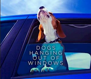 Dogs Hanging Out Of Windows