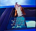 Dogs Hanging Out Of Windows