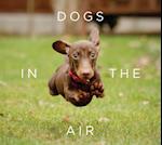 Dogs in the Air