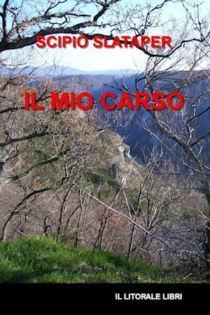 Il mio carso