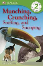 Munching, Crunching, Sniffing and Snooping