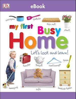 My First Busy Home Let''s Look and Learn!