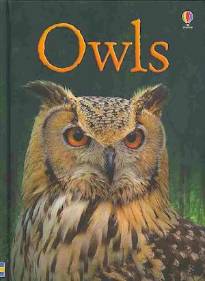 Owls