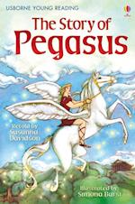Young Reading The Story of Pegasus
