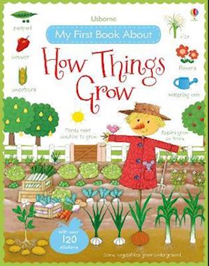 My First Book About How Things Grow