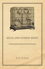 Mule and Hybrid Birds