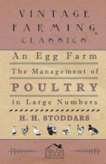 An Egg Farm - The Management Of Poultry In Large Numbers