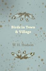 Birds in Town & Village