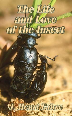 Life and Love of the Insect, The