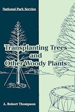 Transplanting Trees and Other Woody Plants