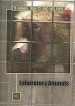 Animal Testing and Research