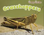 Grasshoppers