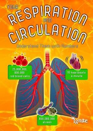 Your Respiration and Circulation