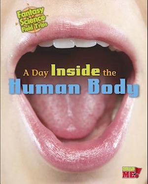 A Day Inside the Human Body