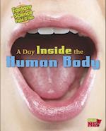 A Day Inside the Human Body