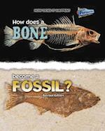 How Does a Bone Become a Fossil?